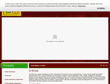 Tablet Screenshot of oknaidrzwizdrewna.pl